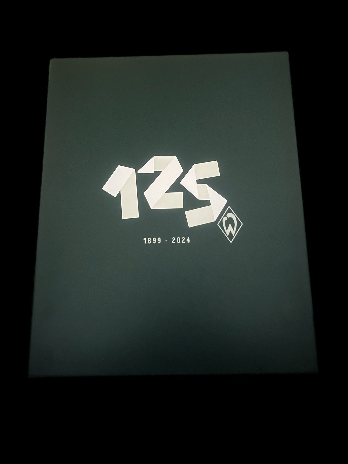 BNWT BNIB Werder Bremen 2023/2024 Fourth Football Shirt Large - 125th Anniversary Edition