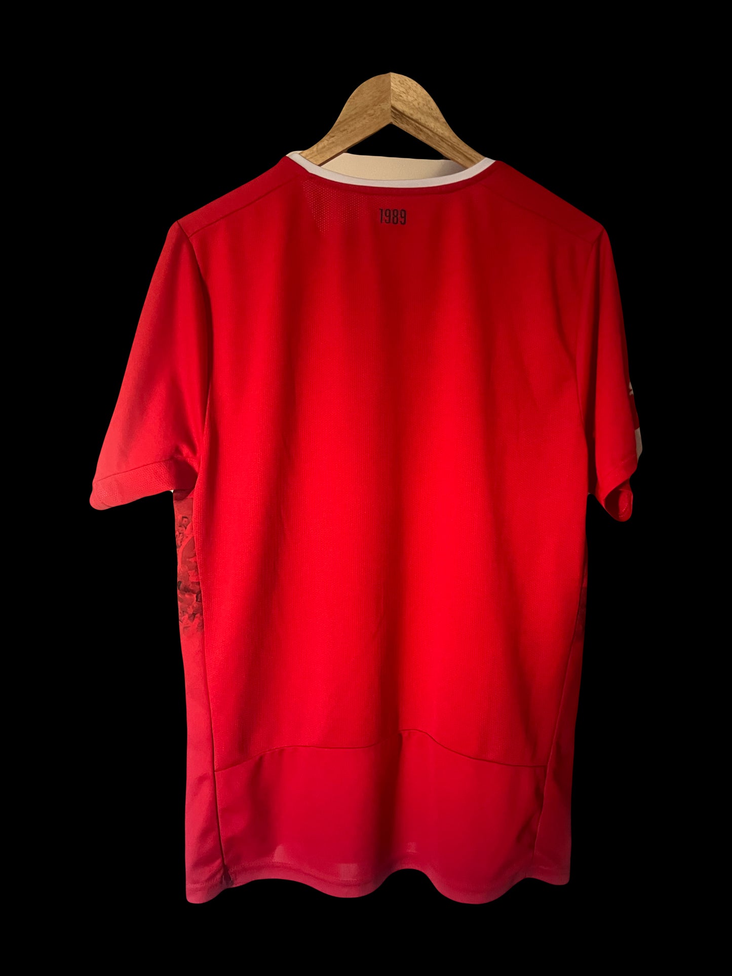 Red Star Belgrade 2015/2016 Home Football Shirt Large