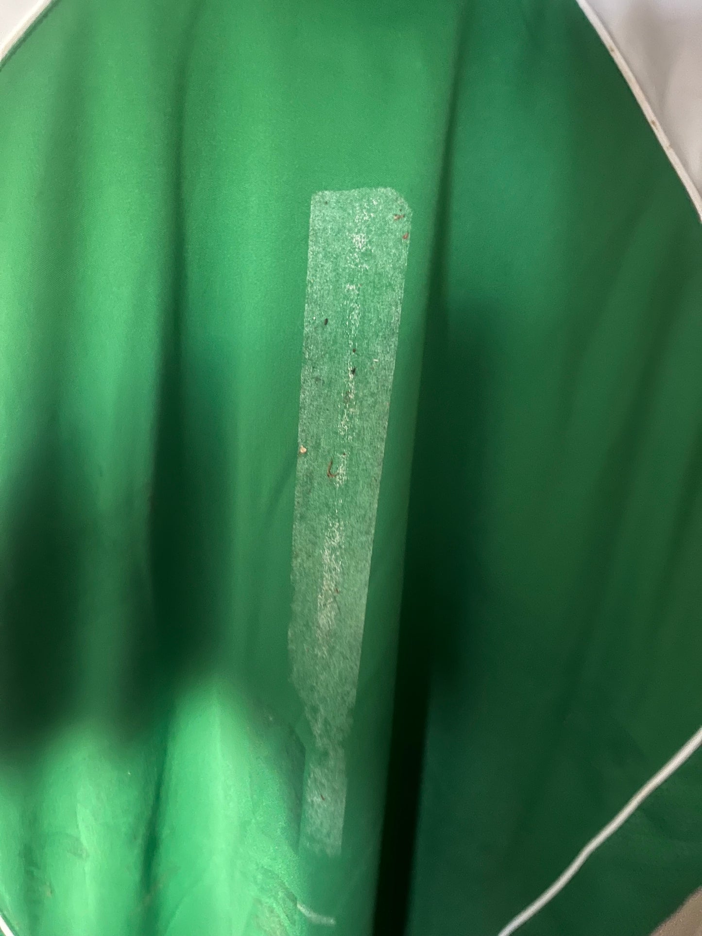 Hibernian Edinburgh (Hibs) 2005/2006 Home Football Shirt Extra Large - Squad Signed