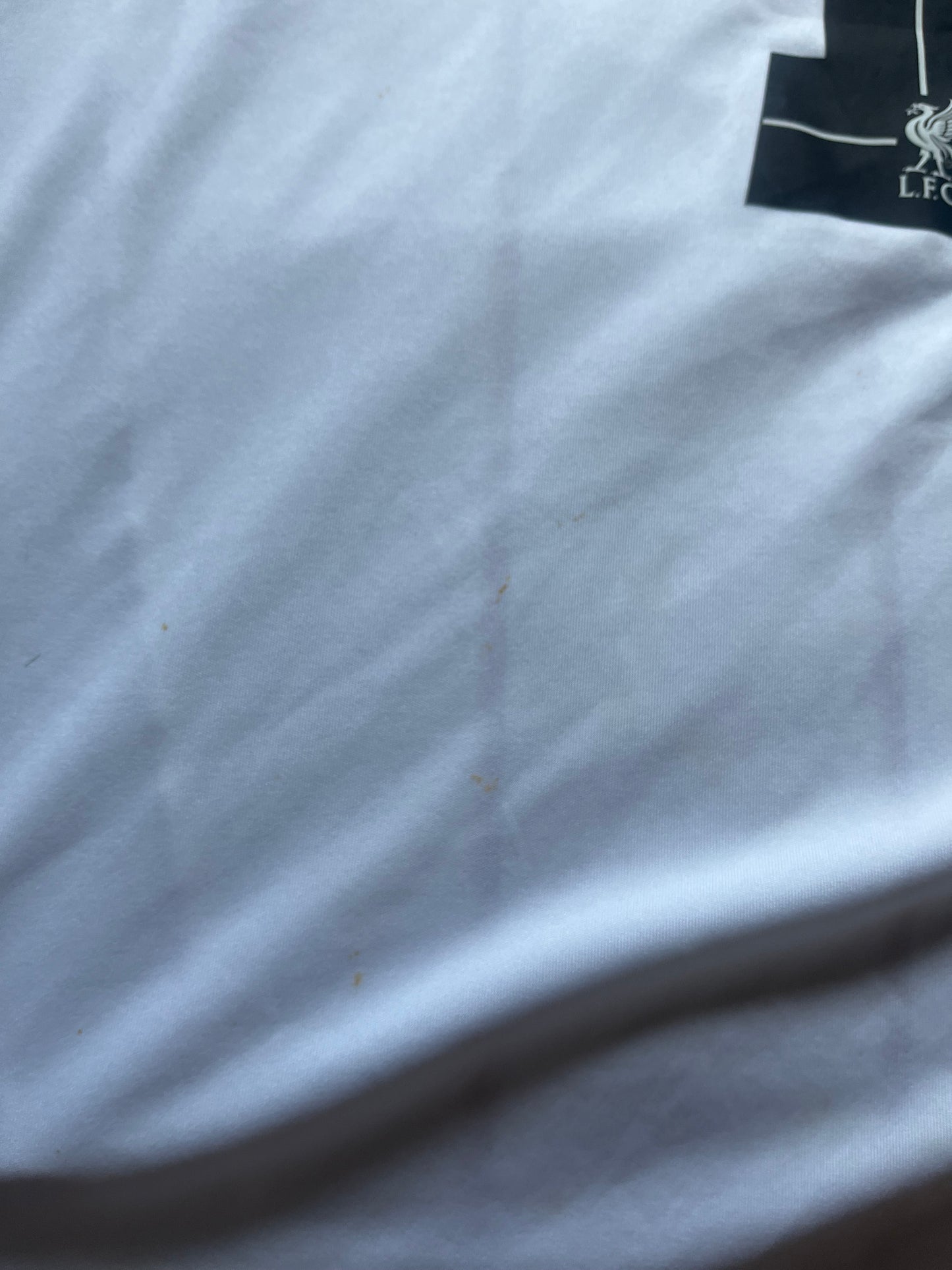 Liverpool 2010/2011 Away Football Shirt Small - Raul Meireles