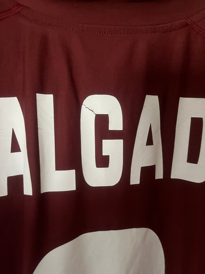 Torino 2009/2010 Home Football Shirt Large - Fits Small - Salgado